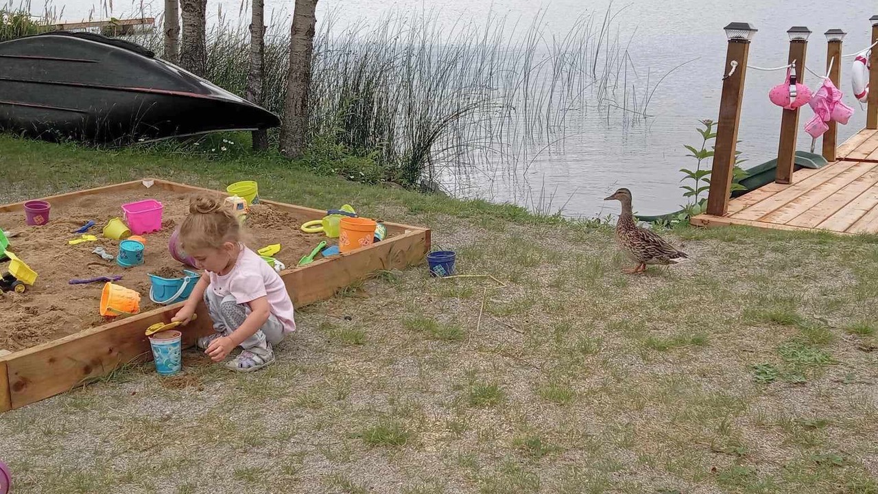 Photo of Outdoor in Lac Saint-Jean - Saguenay
