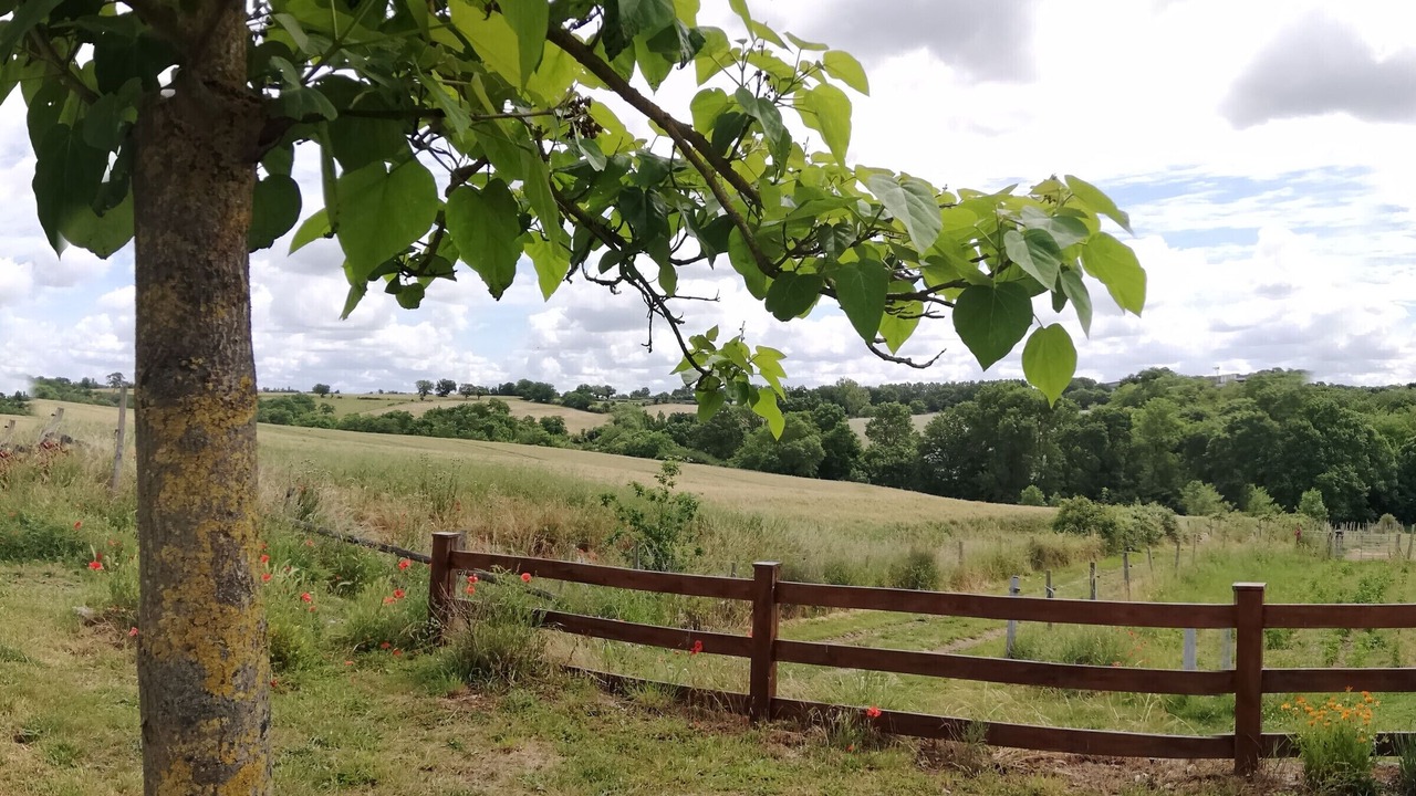 Photo of Outdoor in Montilliers