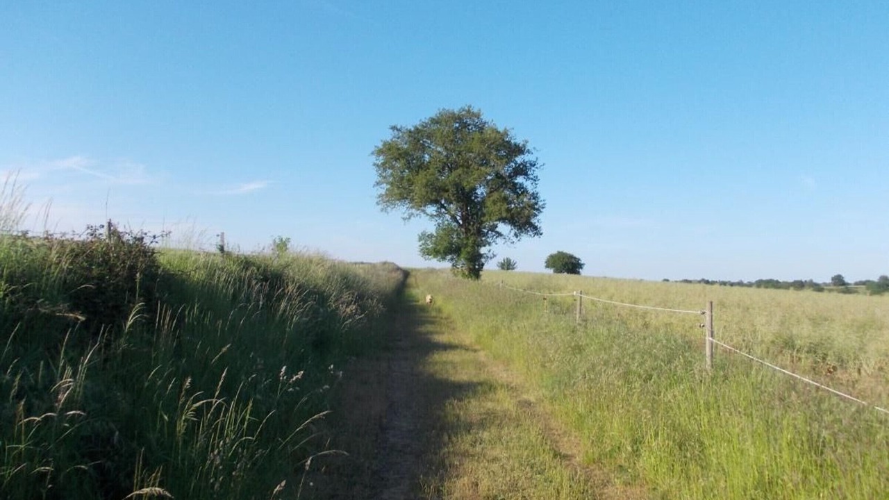 Photo of Outdoor in Montilliers