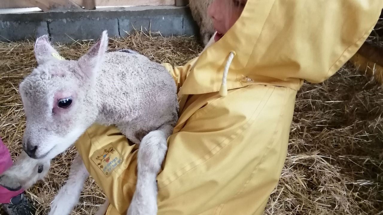 Photo of Others in Montilliers