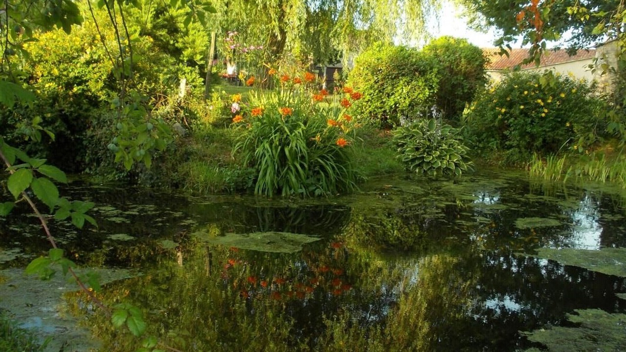 Photo of Outdoor in Montilliers