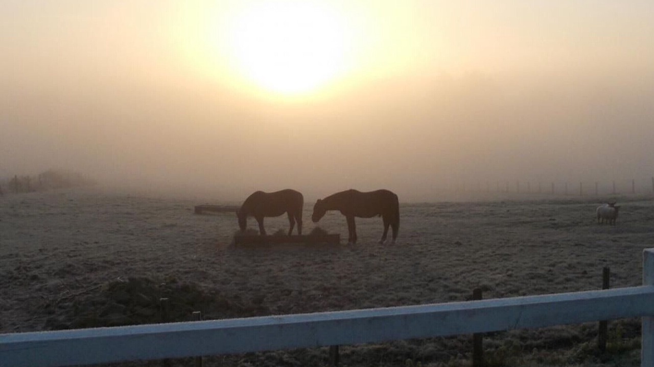 Photo of Others in Montilliers