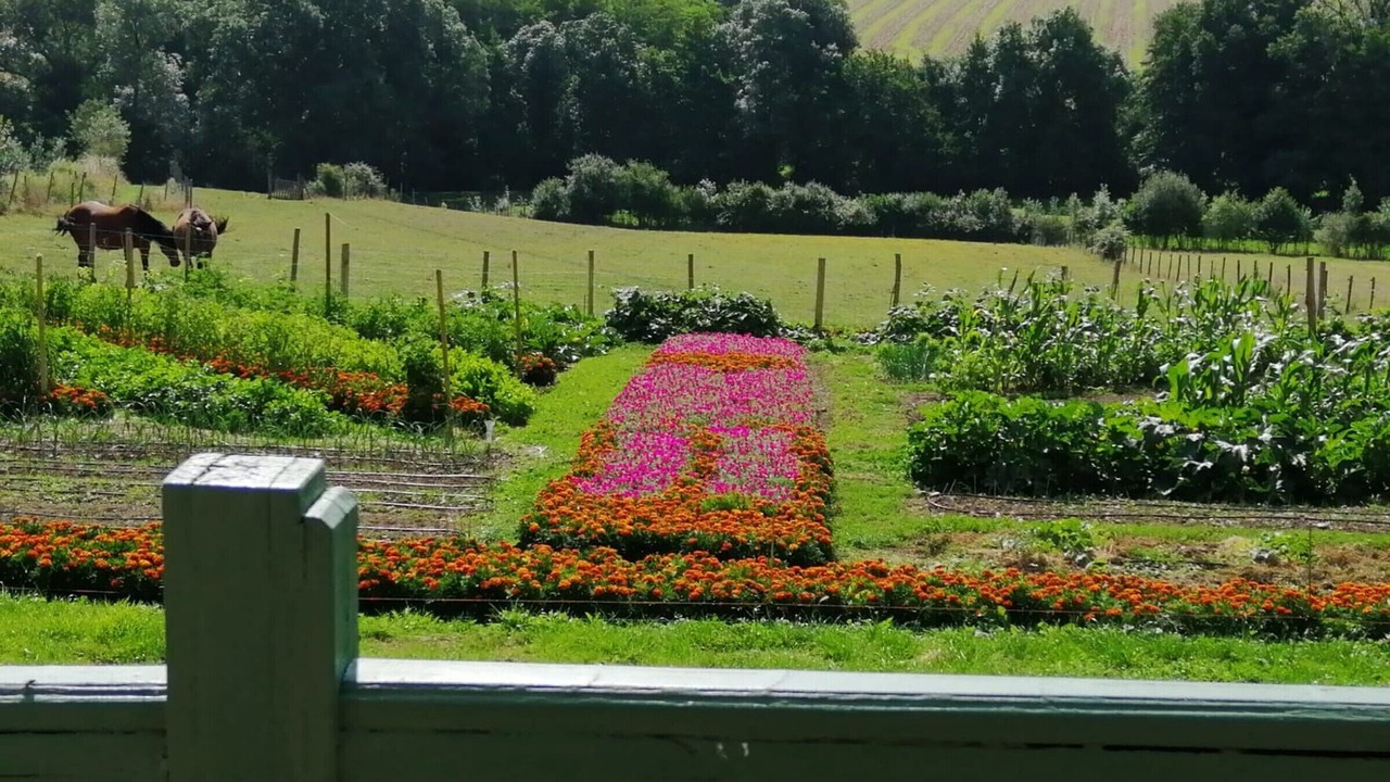 Photo of Outdoor in Montilliers