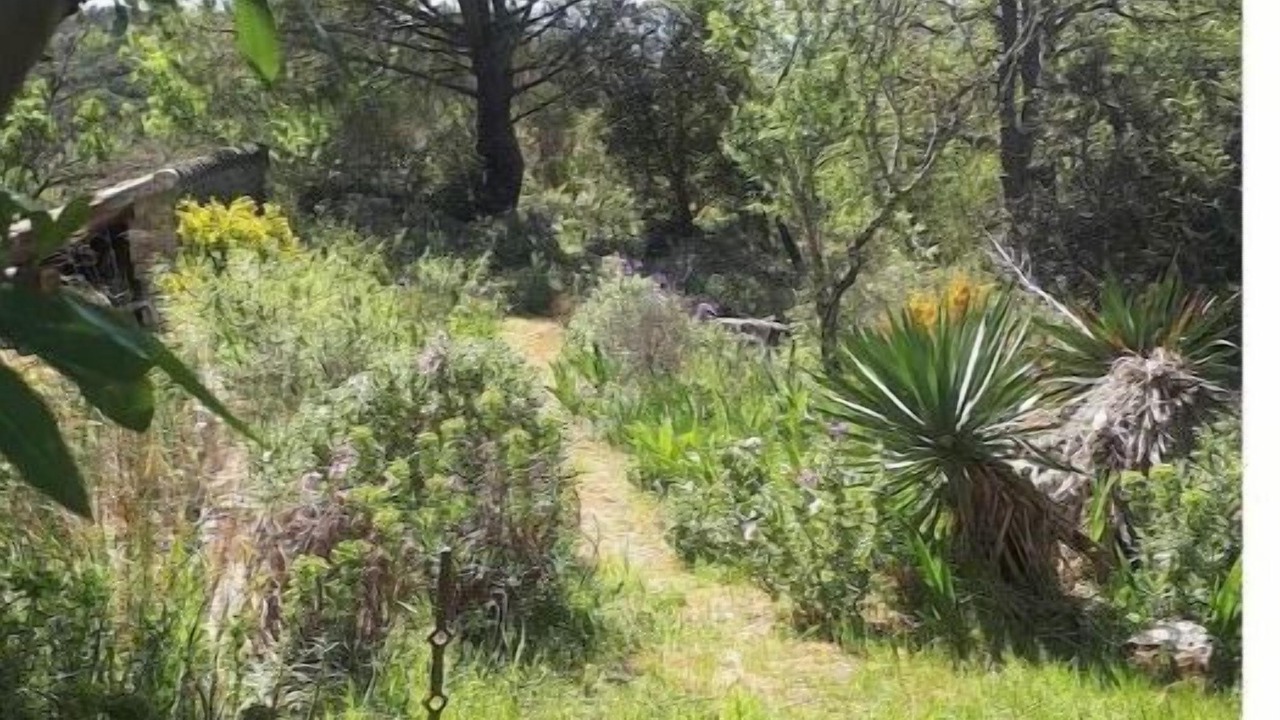 Photo of Outdoor in Limoux