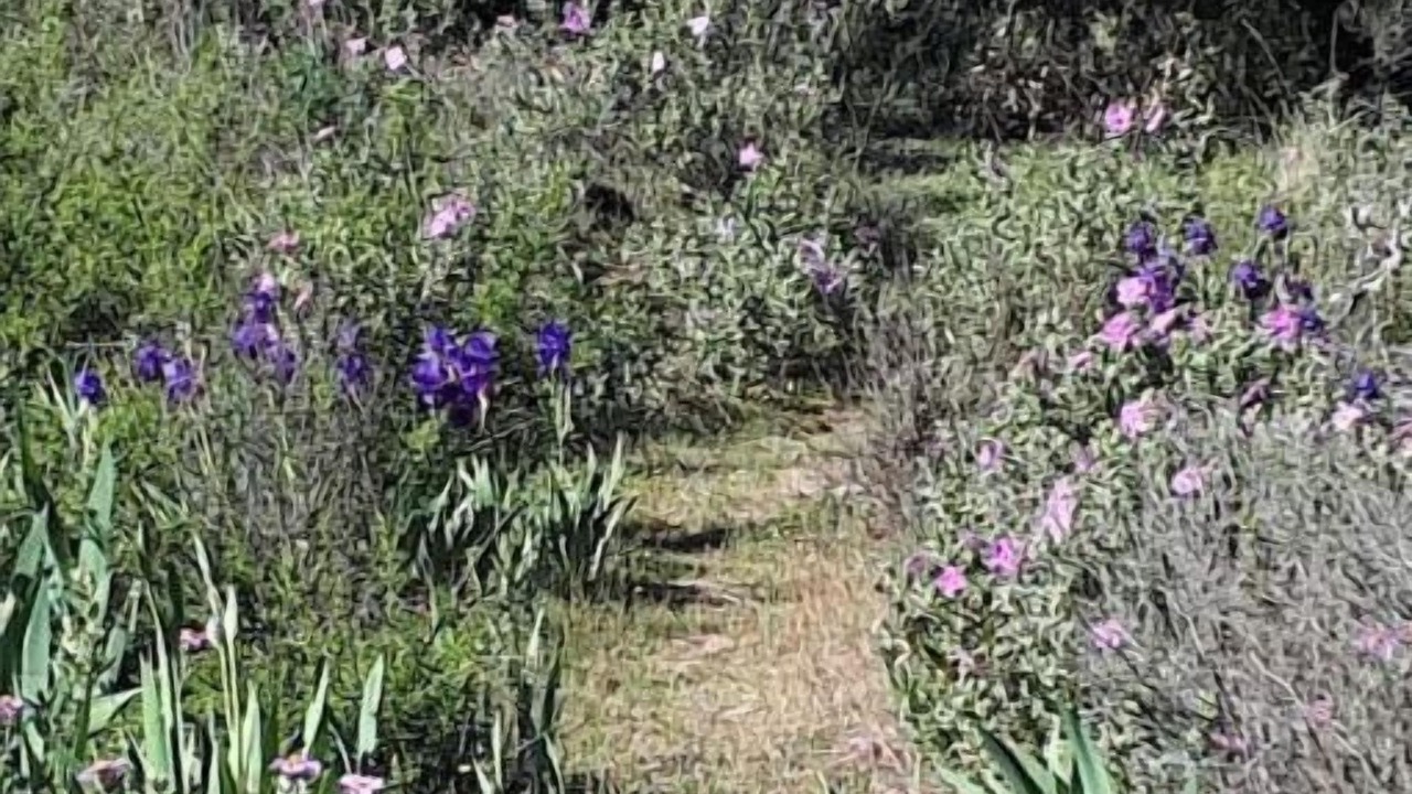 Photo of Outdoor in Limoux