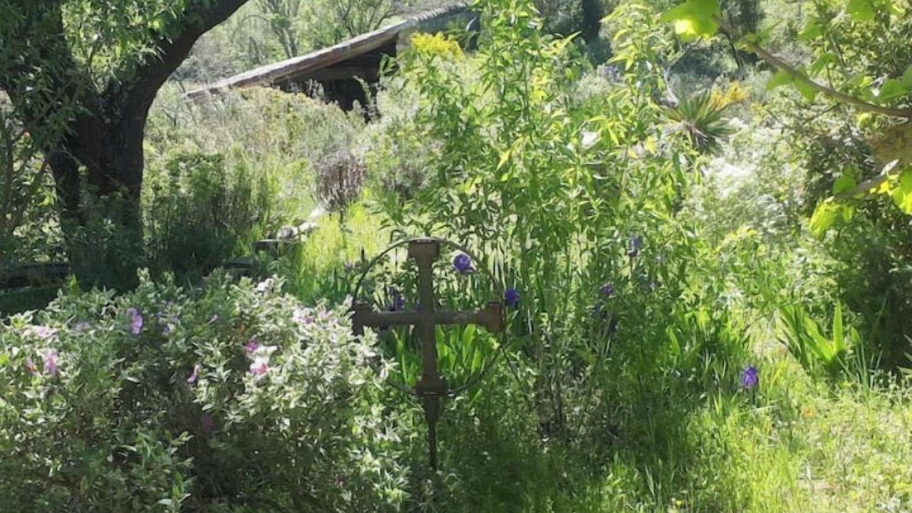 Photo of Outdoor in Limoux