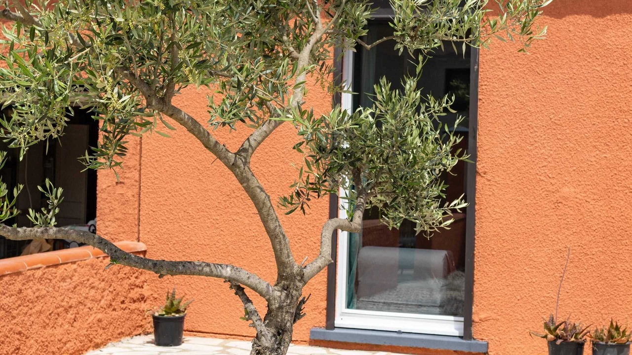 Photo of Outdoor in Les Cluses