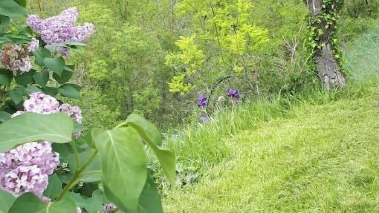 Photo of Outdoor in Limoux