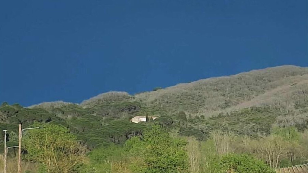 Photo of Others in Limoux