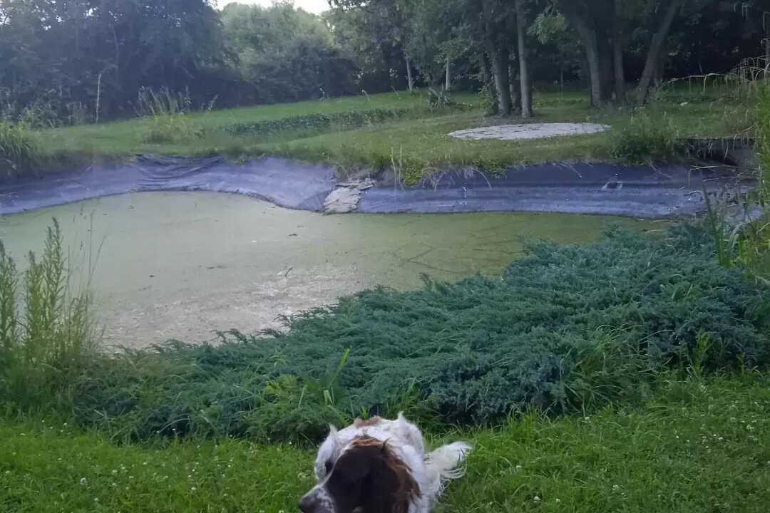 Photo of Outdoor in Favieres