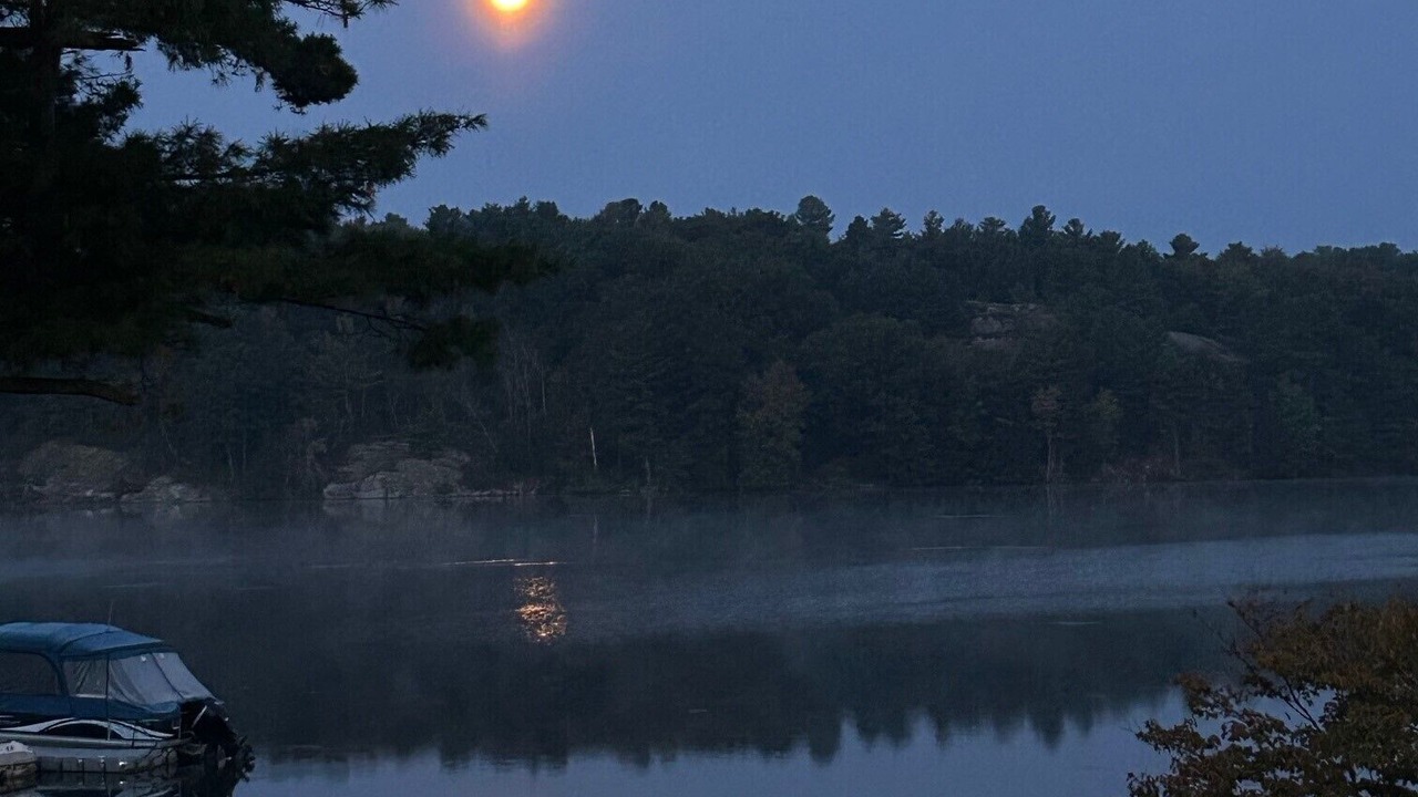 Photo of Others in Addison