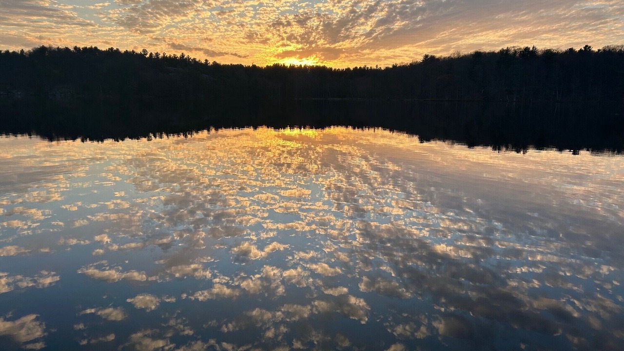 Photo of Others in Addison