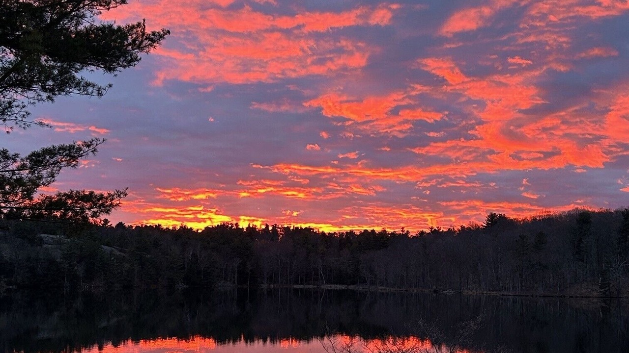 Photo of Outdoor in Addison