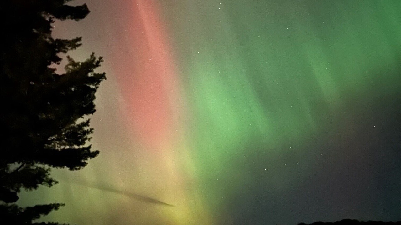 Photo of Others in Addison