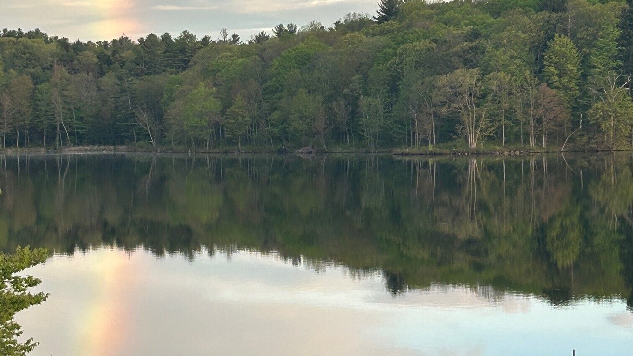 Photo of Others in Addison