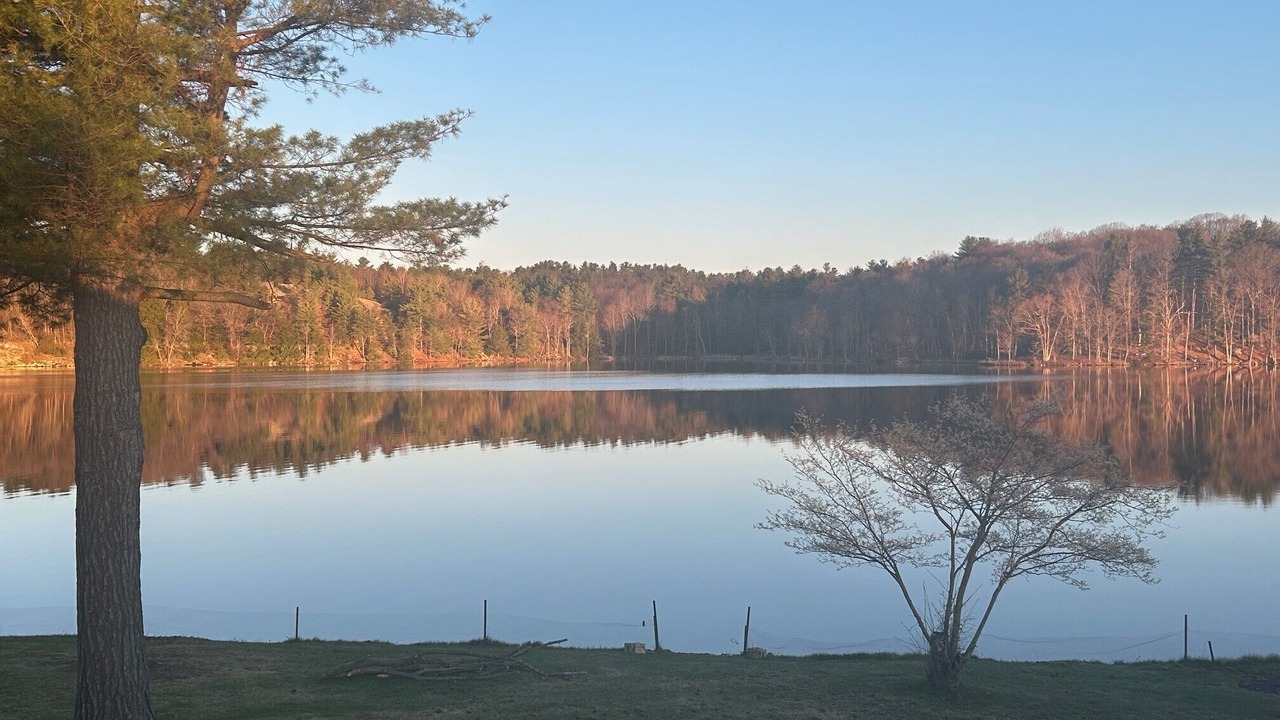 Photo of Outdoor in Addison