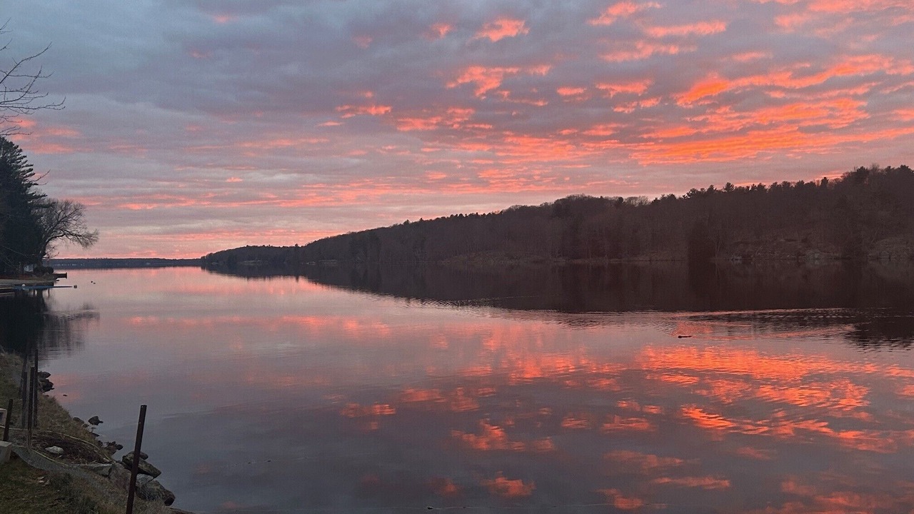 Photo of Others in Addison