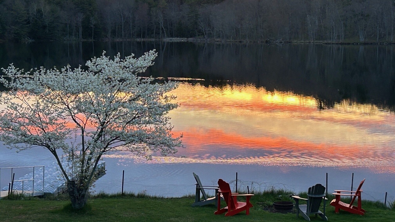 Photo of Outdoor in Addison