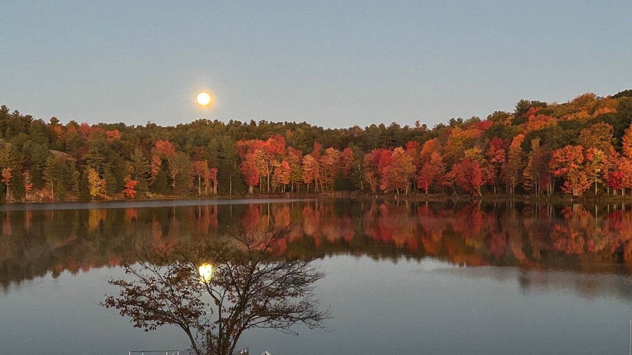 Photo of Outdoor in Addison