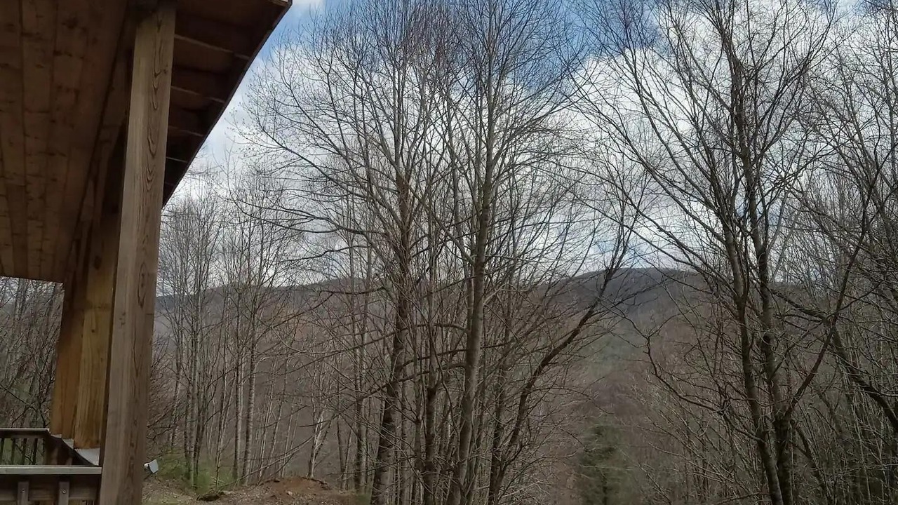 Photo of Outdoor in Canton