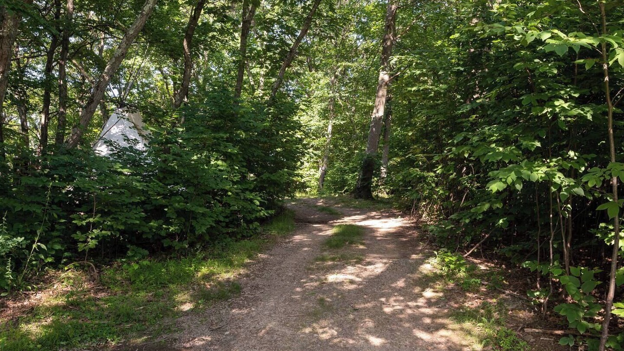 Photo of Outdoor in Coeymans Hollow