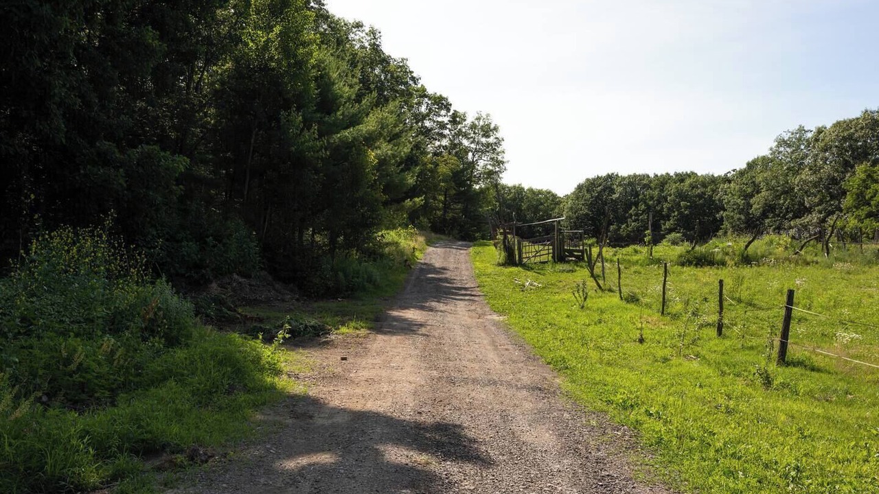 Photo of Outdoor in Coeymans Hollow
