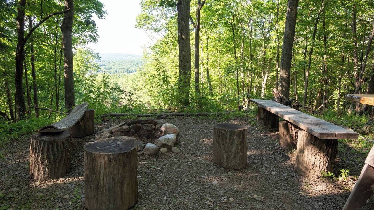 Photo of Outdoor in Coeymans Hollow