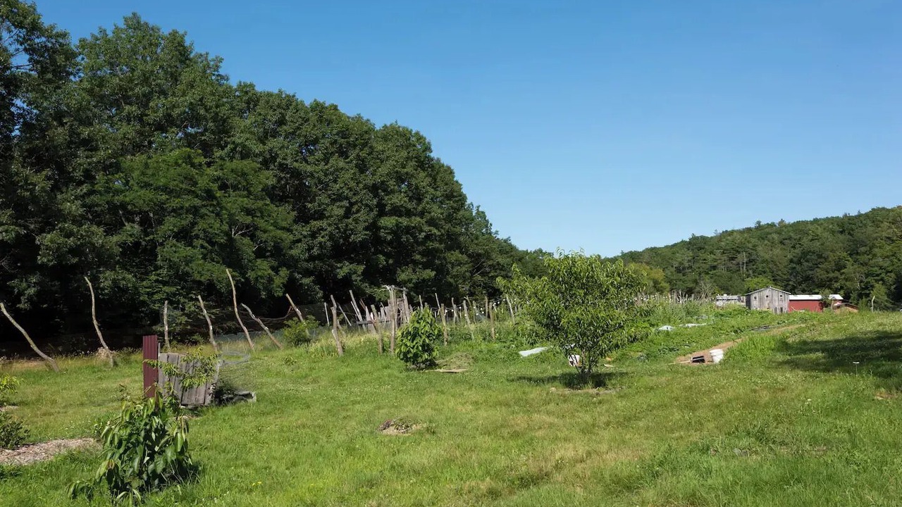 Photo of Outdoor in Coeymans Hollow