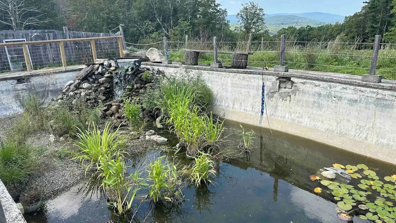 Photo of Others in Coeymans Hollow