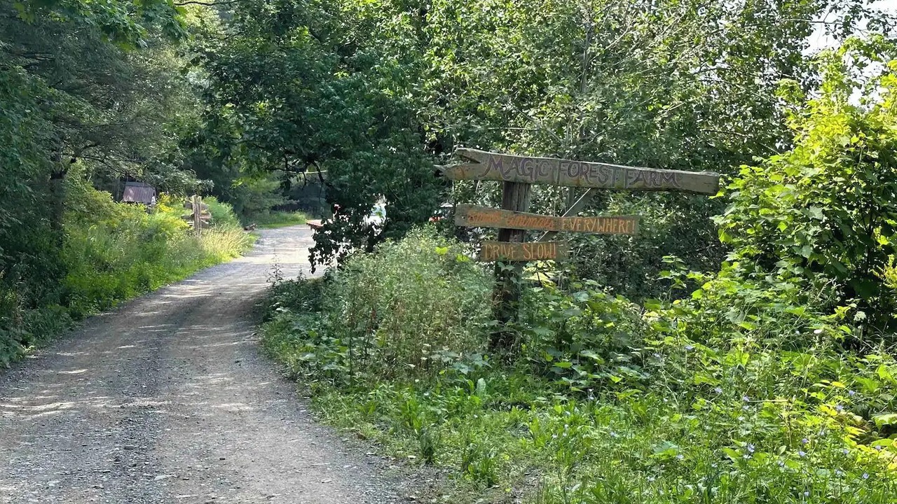 Photo of Outdoor in Coeymans Hollow