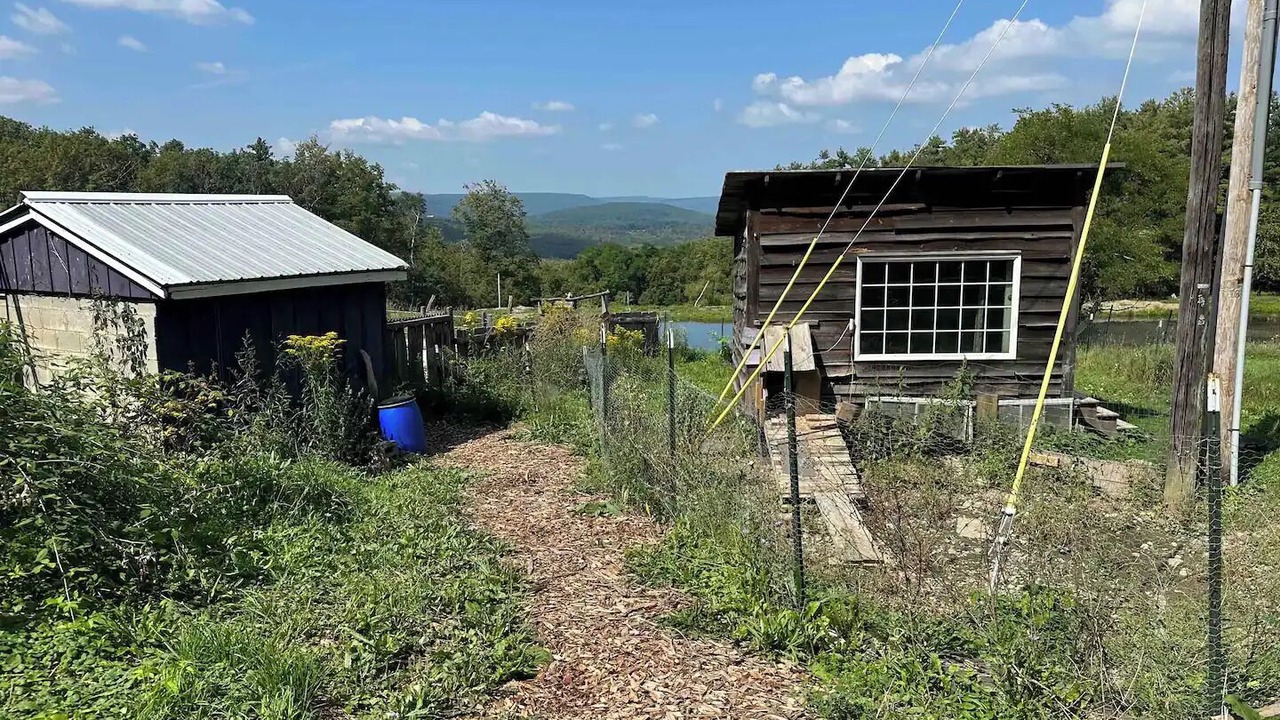 Photo of Outdoor in Coeymans Hollow