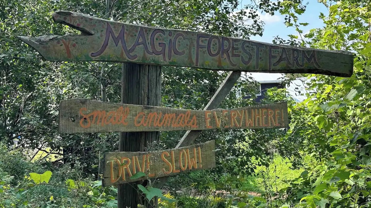 Photo of Outdoor in Coeymans Hollow