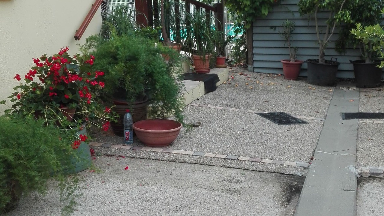 Photo of Outdoor in Eymet