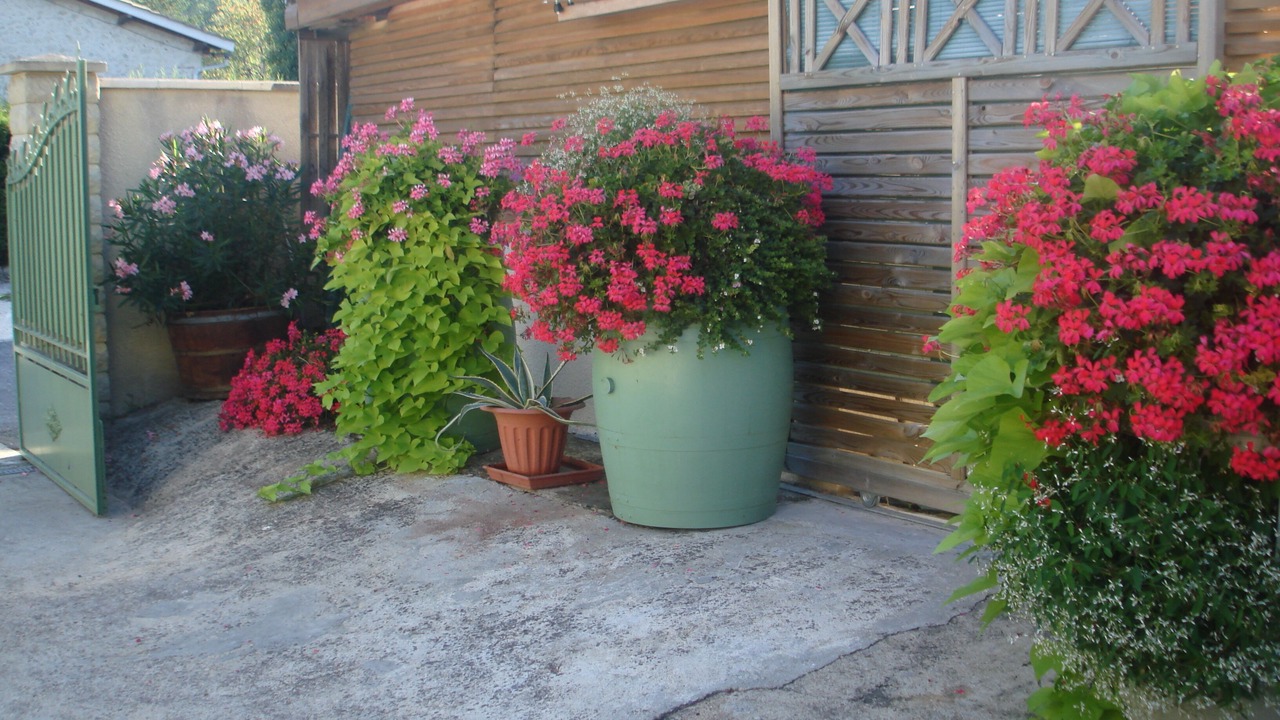 Photo of Outdoor in Eymet