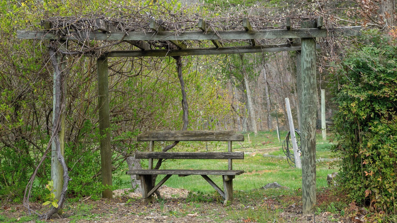 Photo of Others in Lexington