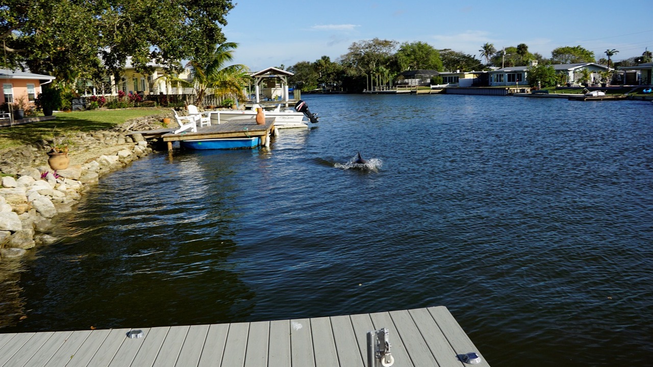 Photo of Others in Cocoa Isles