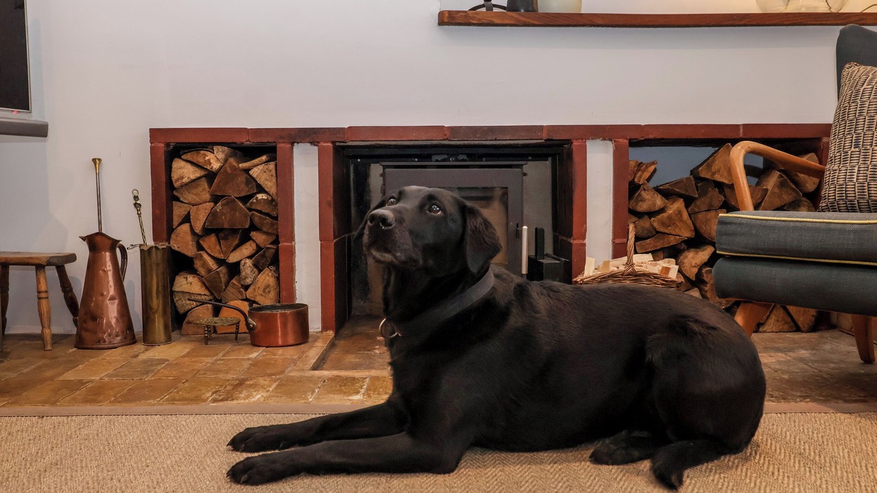 Photo of Others in Walberswick