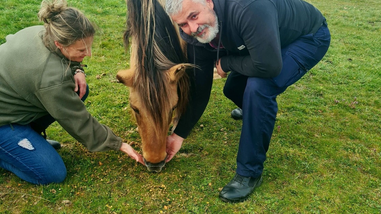 Photo of Outdoor in Cerans-Foulletourte