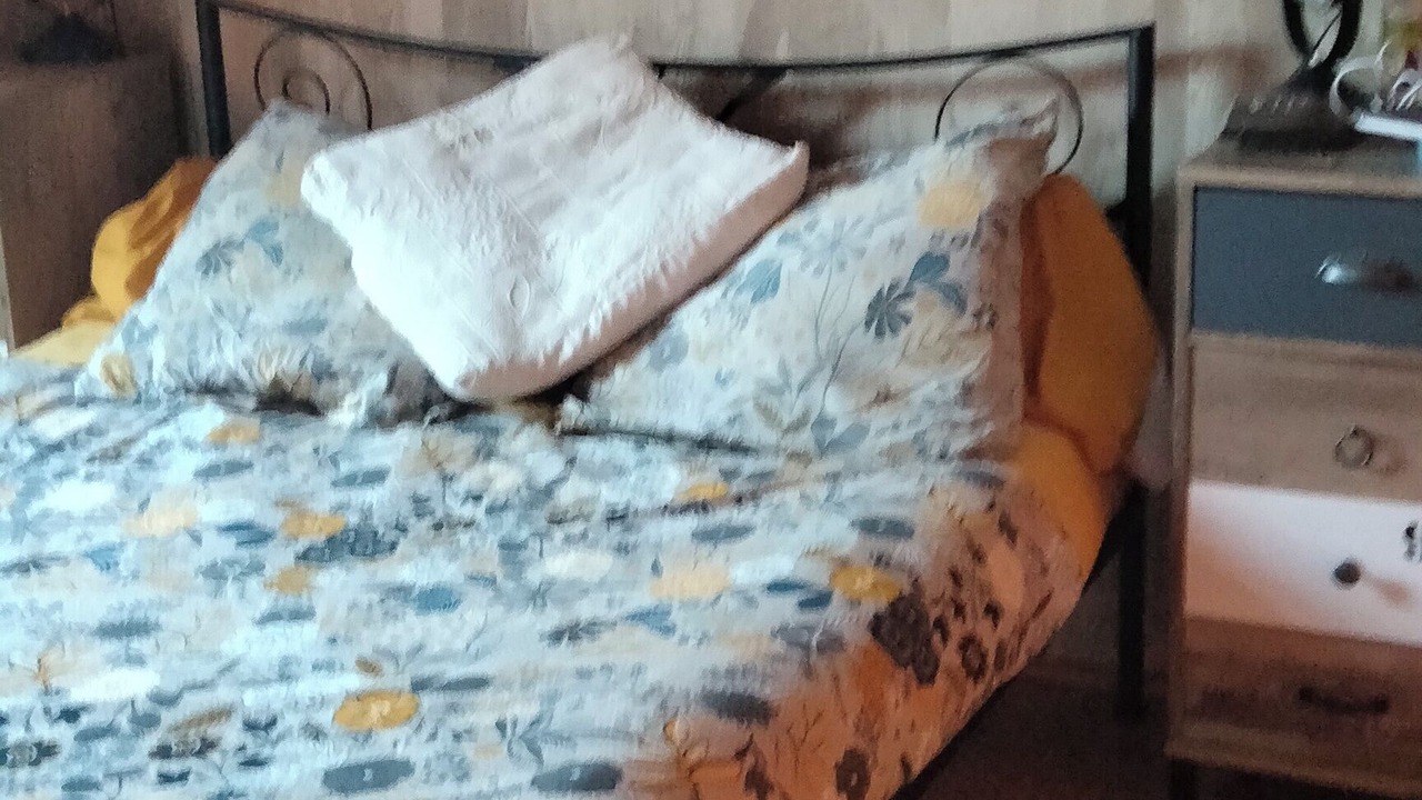 Photo of Bedroom in Teloche