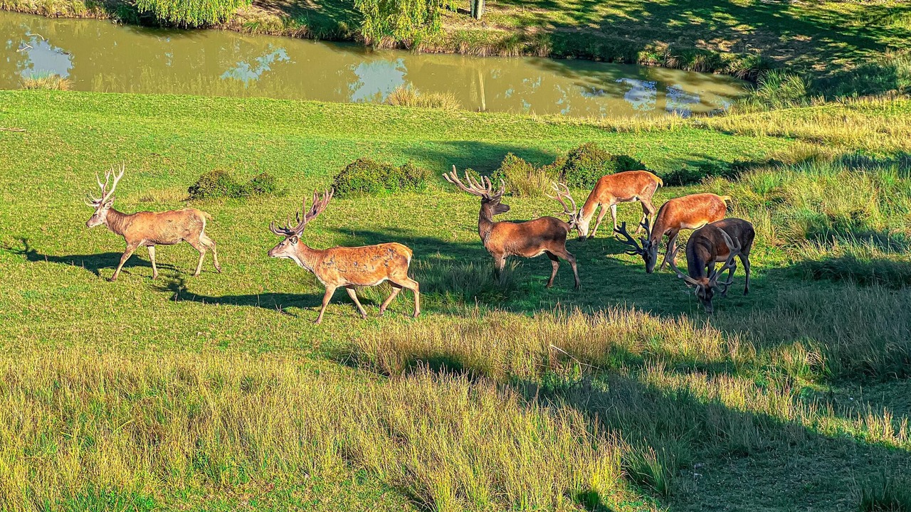 Photo of Others in Prayssas