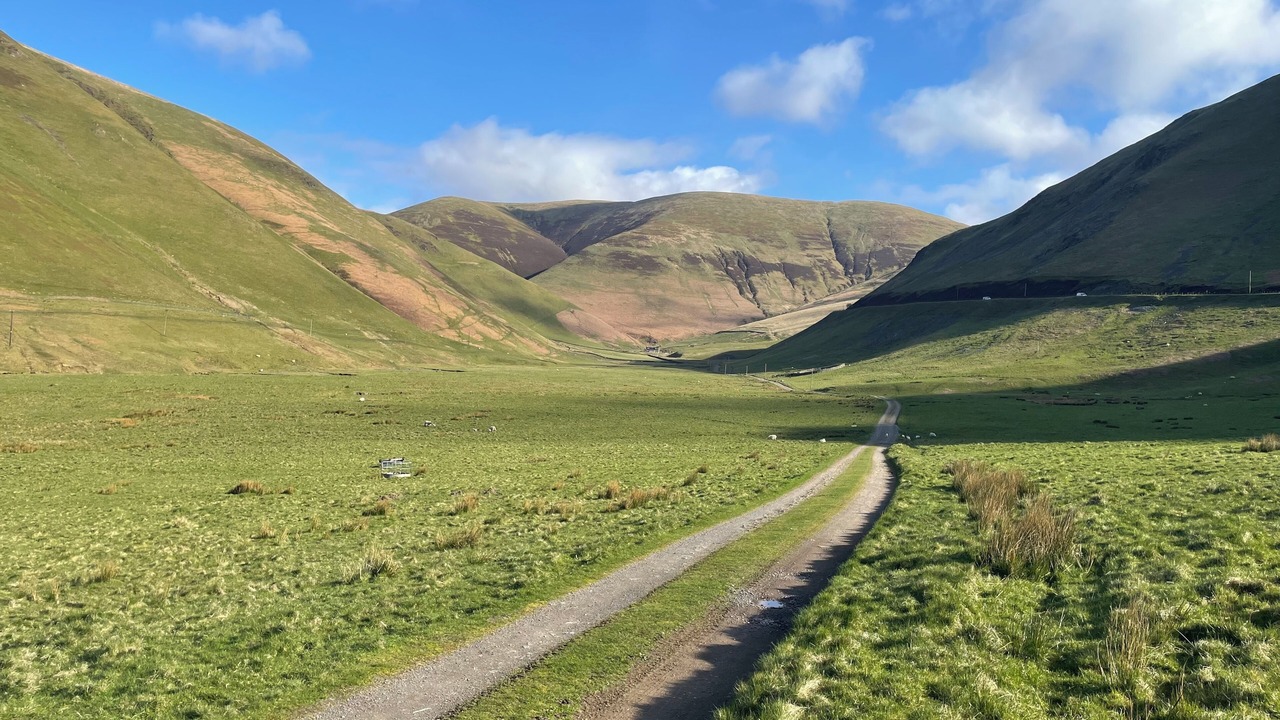 Photo of Others in Thornhill