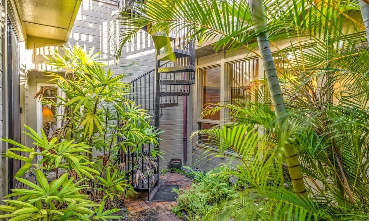 Photo of Others in Poipu