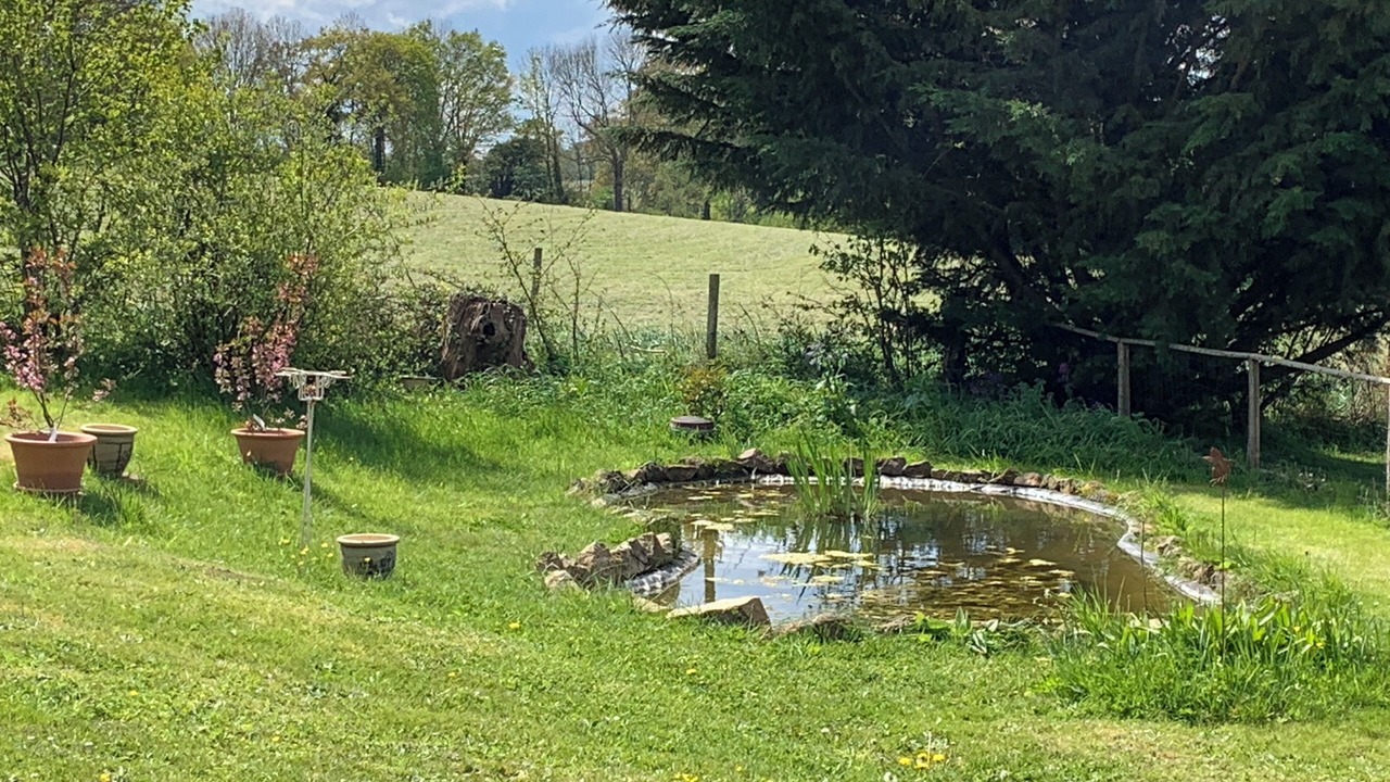 Photo of Others in Andaine - Passais