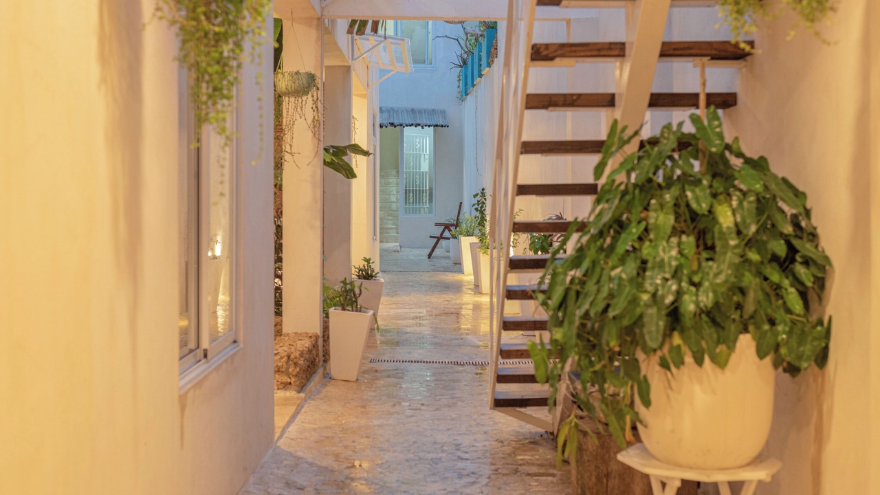 Photo of Others in Zona Colonial