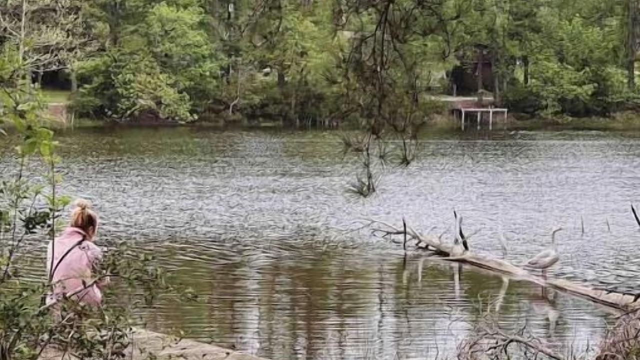 Photo of Others in Montgomery