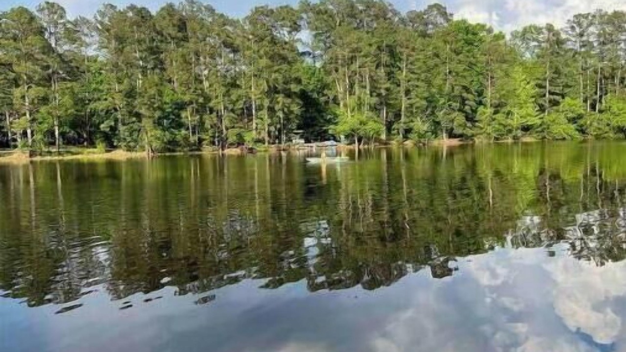 Photo of Outdoor in Montgomery