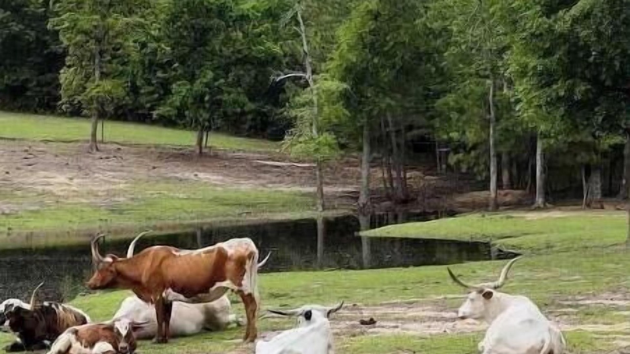 Photo of Outdoor in Montgomery