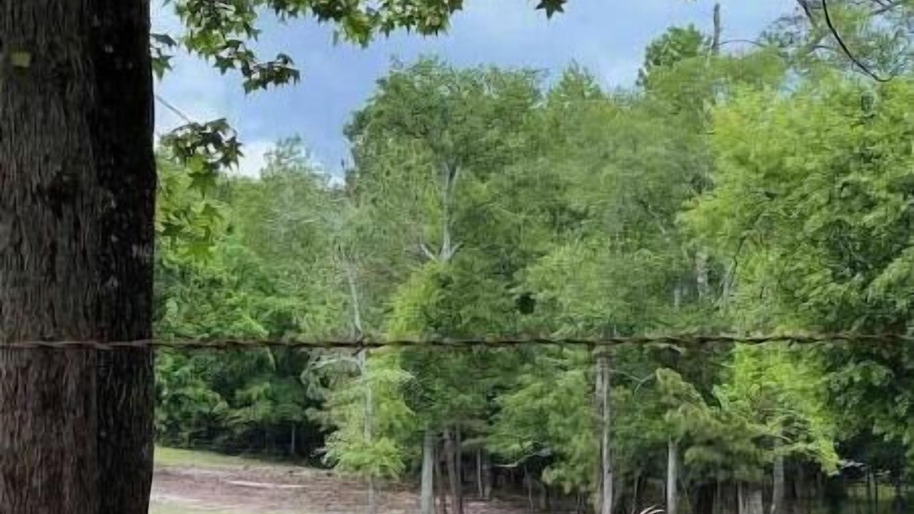 Photo of Outdoor in Montgomery