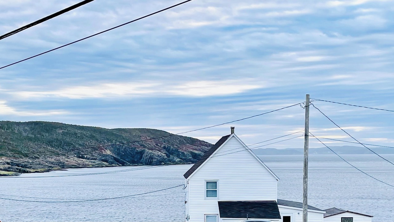 Photo of Others in Newmans Cove