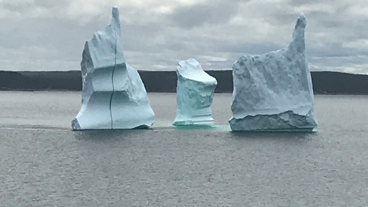 Photo of Others in Newmans Cove